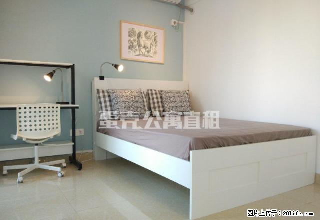 (单间出租)田背花园 蛋壳公寓直租 押一付一 交通便利 双周保洁 - 房屋出租 - 房屋租售 - 深圳分类信息 - 深圳28生活网 sz.28life.com