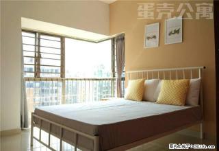 (单间出租)返一个月房租+首月立减800 蛋壳公寓 近宝体地铁站 - 深圳28生活网 sz.28life.com