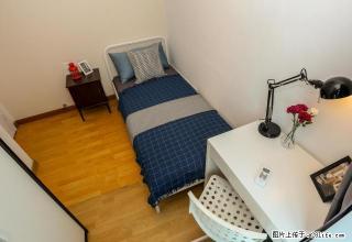 (单间出租)品牌公寓 0中介 家电齐全 智能门锁 极速无线 双周保洁 - 深圳28生活网 sz.28life.com