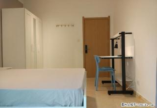 阳光棕榈园 蛋壳公寓直租 精装主卧 房间实拍 家具齐全 - 深圳28生活网 sz.28life.com