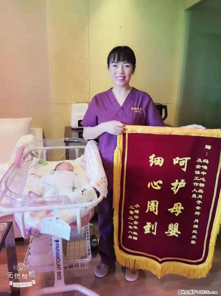 上海高端月子会所招新手月嫂，零基础带教，包吃住 - 职场交流 - 深圳生活社区 - 深圳28生活网 sz.28life.com