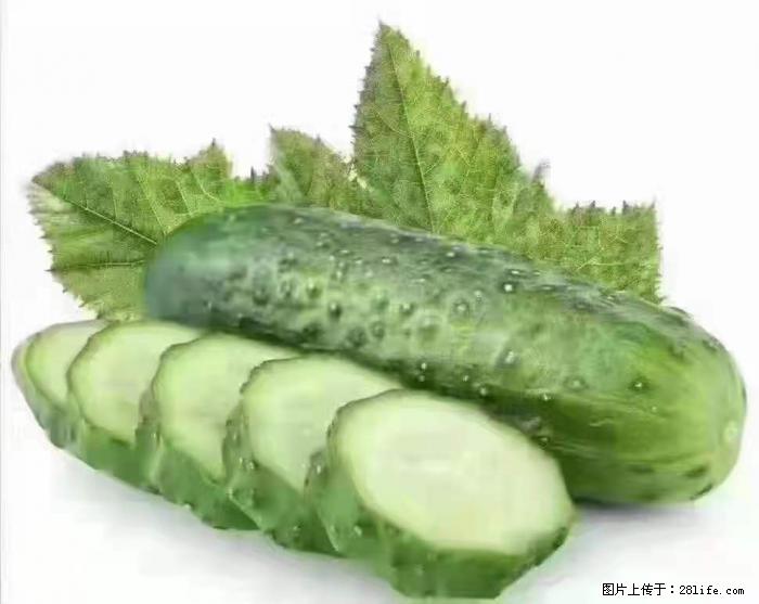 【生活小常识】吃黄瓜的好处 - 生活百科 - 深圳生活社区 - 深圳28生活网 sz.28life.com