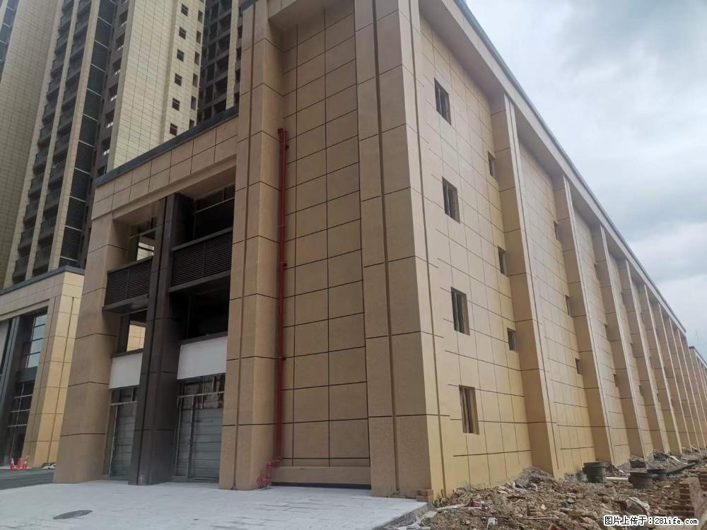 【广西三象建筑安装工程有限公司】外墙涂料工程 - 新手上路 - 深圳生活社区 - 深圳28生活网 sz.28life.com