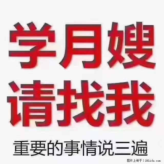 【招聘】月嫂，上海徐汇区 - 职场交流 - 深圳生活社区 - 深圳28生活网 sz.28life.com