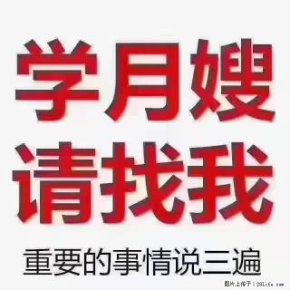 【招聘】月嫂，上海徐汇区 - 深圳28生活网 sz.28life.com