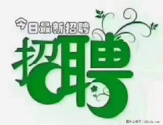 上海青浦区招仓管 - 深圳28生活网 sz.28life.com