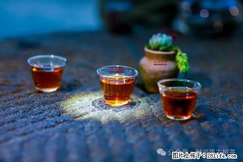 时间果百年古树2025年春红茶 - 购物交流 - 深圳生活社区 - 深圳28生活网 sz.28life.com