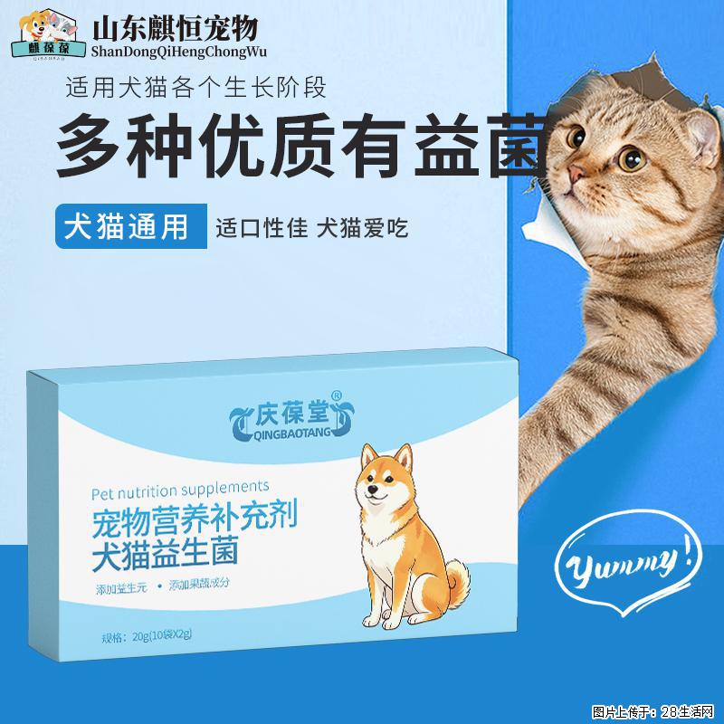 别再乱喂肠胃药!一盒麒葆葆,轻松拿捏猫狗肠道小毛病 - 其它 - 宠物信息 - 深圳分类信息 - 深圳28生活网 sz.28life.com