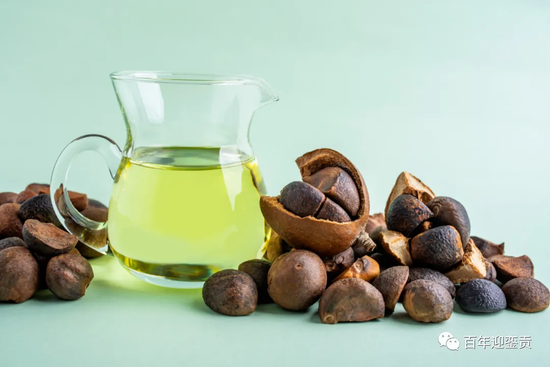 世界没有真相,只有认知,最好的食用油是中国的山茶油! - 深圳生活资讯 - 深圳28生活网 sz.28life.com