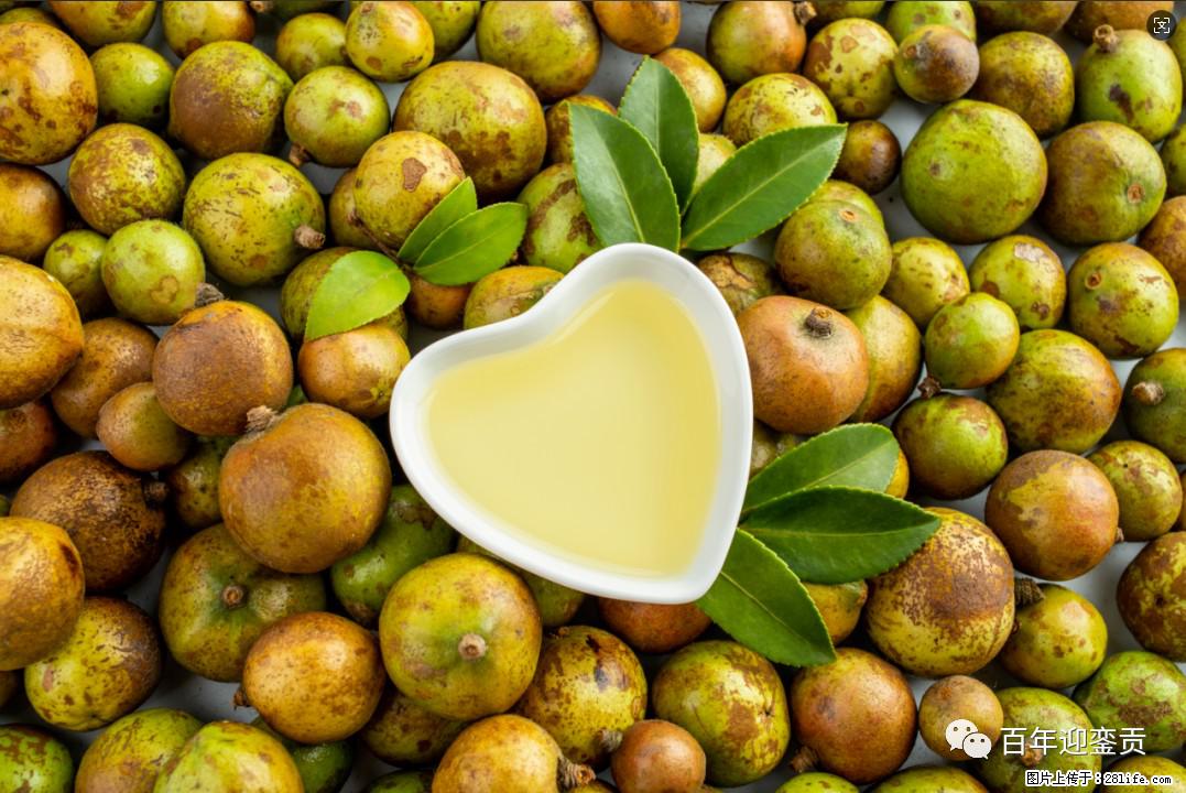 世界没有真相,只有认知,最好的食用油是中国的山茶油! - 深圳生活资讯 - 深圳28生活网 sz.28life.com