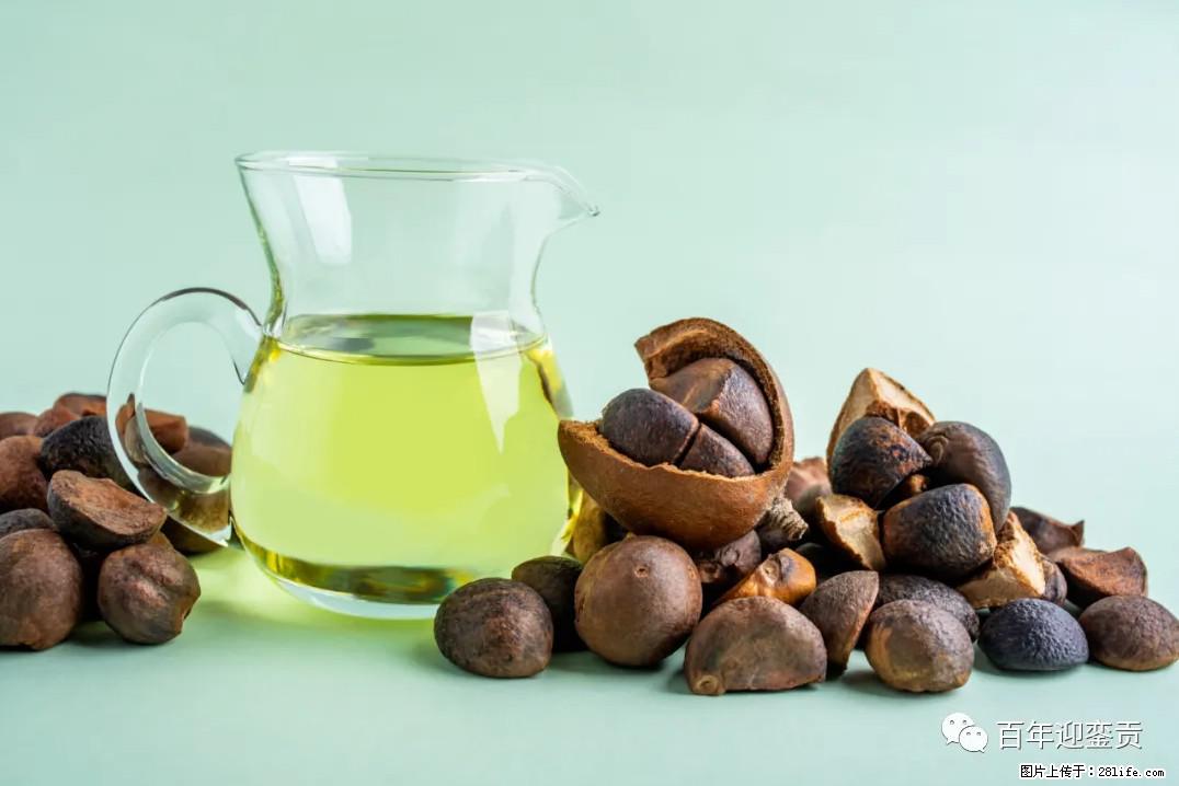 世界没有真相，只有认知，最好的食用油是中国的山茶油！ - 深圳生活资讯 - 深圳28生活网 sz.28life.com