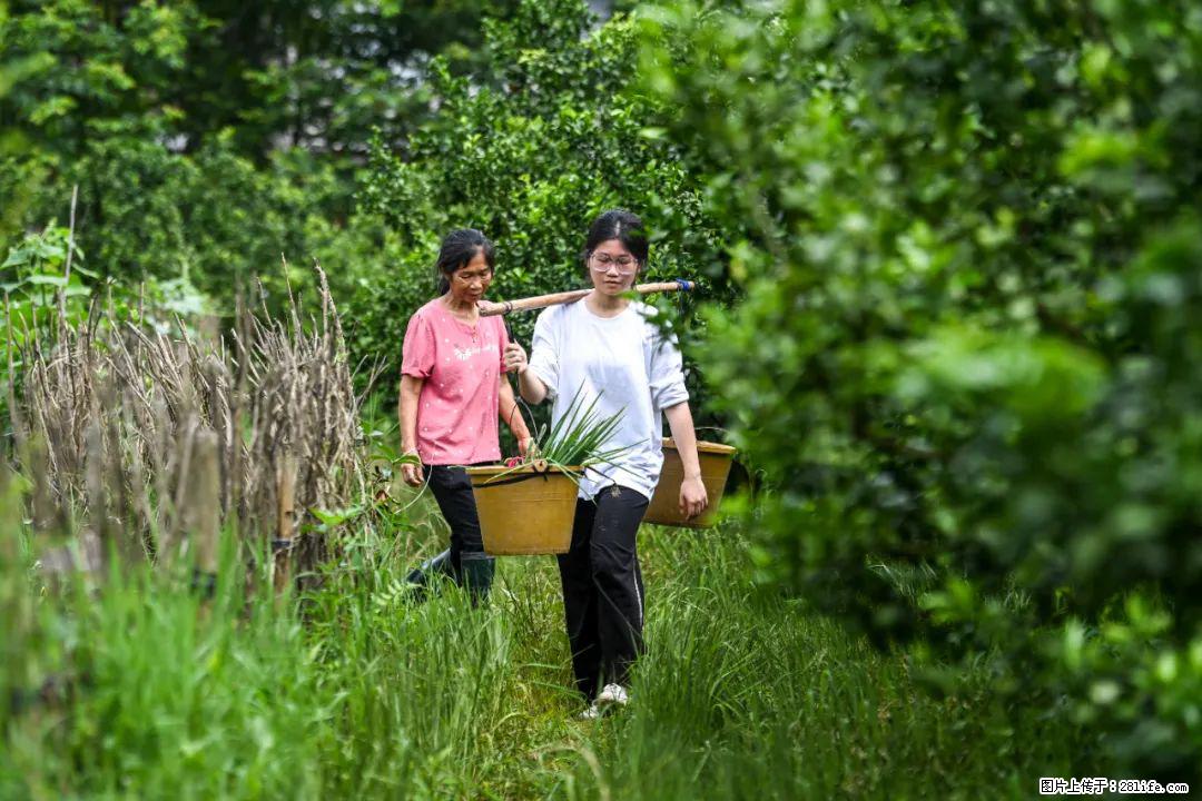 全网追的“扁担女孩”,找了一份暑假工,时薪12元 - 深圳生活资讯 - 深圳28生活网 sz.28life.com