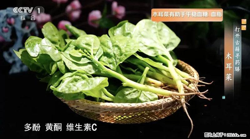 比牛奶补钙还厉害！凉血解毒、稳血糖...这菜冬天必吃，很多人却当草 - 深圳生活资讯 - 深圳28生活网 sz.28life.com