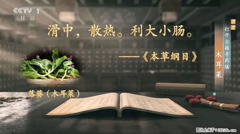 比牛奶补钙还厉害！凉血解毒、稳血糖...这菜冬天必吃，很多人却当草 - 深圳生活资讯 - 深圳28生活网 sz.28life.com