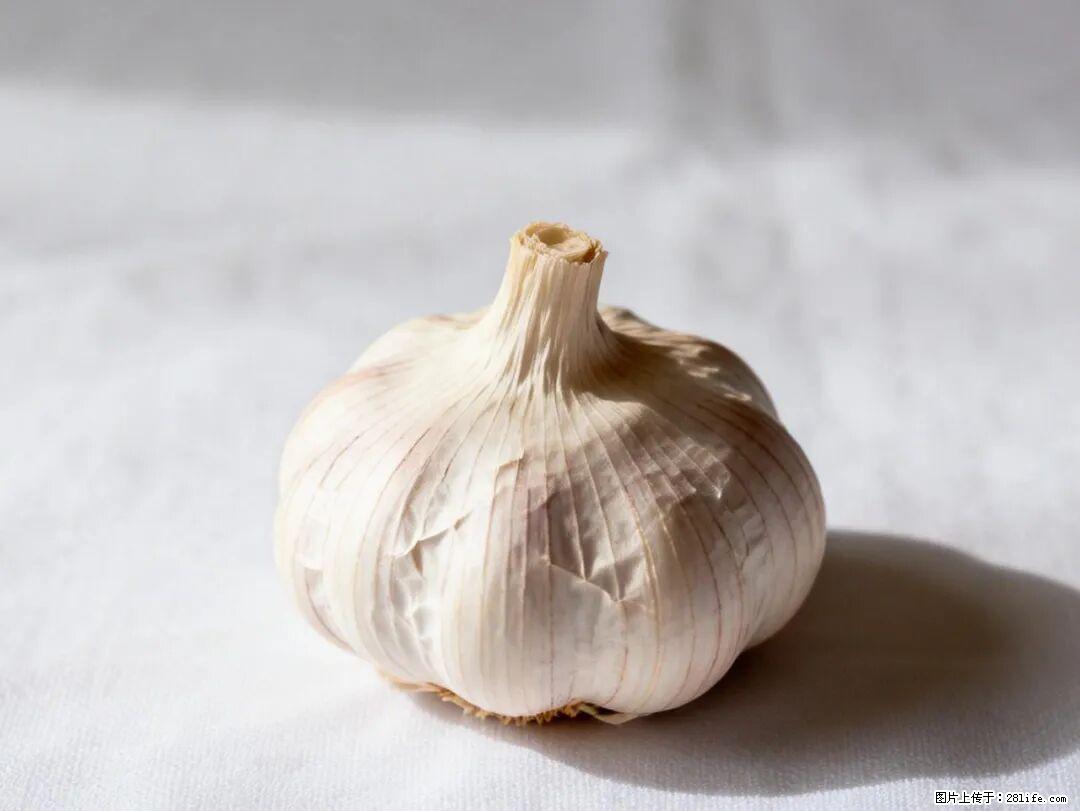 关于大蒜,除了“天然抗生素”,这4个谣言更该警惕! - 深圳生活资讯 - 深圳28生活网 sz.28life.com