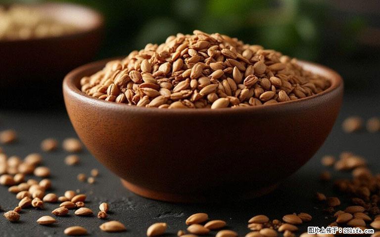 这三苦是三高“克星”，心血管干净不易堵！每天吃一点，指标慢慢降下来~ - 深圳生活资讯 - 深圳28生活网 sz.28life.com