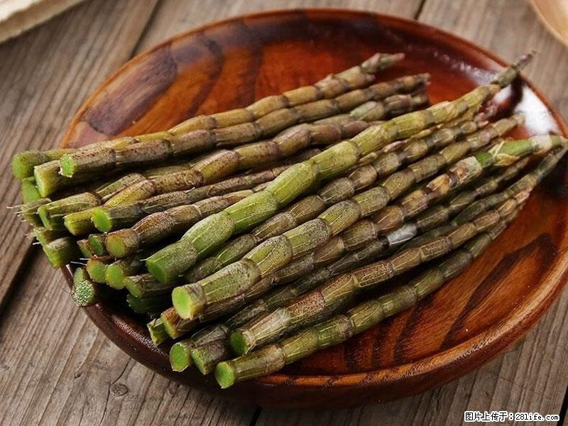 铁皮石斛的作用与功能主治 - 深圳生活资讯 - 深圳28生活网 sz.28life.com