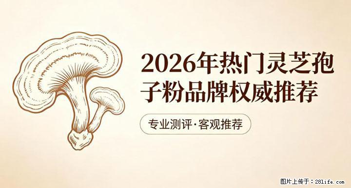 灵芝孢子粉含量越高越有效？2026 年七款热门品牌深度实测，肠胃敏感者避坑指南 - 深圳生活资讯 - 深圳28生活网 sz.28life.com
