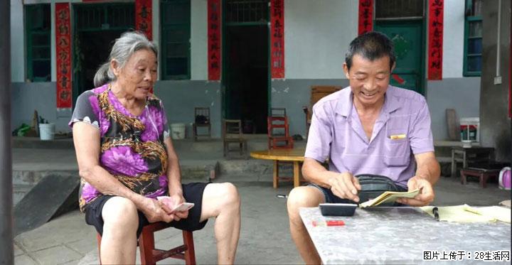 【乡村振兴】广西桂林市灌阳县文市蜂糖李、黄金奈李迎丰产上市季 甜蜜产业助振兴 - 深圳生活资讯 - 深圳28生活网 sz.28life.com