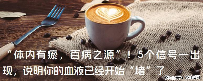 “体内有瘀,百病之源”!5个信号一出现,说明你的血液已经开始“堵”了 - 深圳生活资讯 - 深圳28生活网 sz.28life.com
